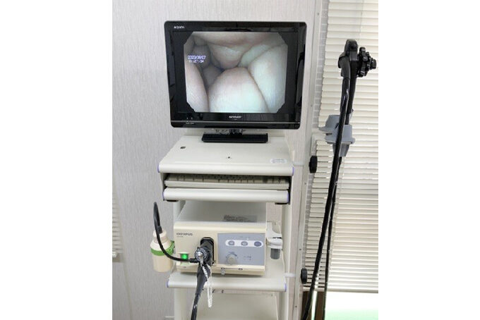 中型大型犬用内視鏡